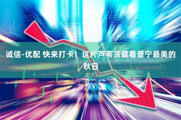 诚信-优配 快来打卡！这片芦苇荡藏着晋宁最美的秋日