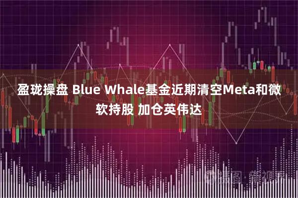 盈珑操盘 Blue Whale基金近期清空Meta和微软持股 加仓英伟达