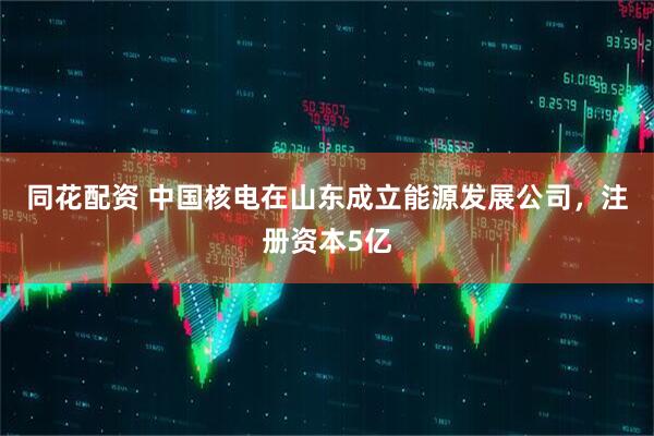 同花配资 中国核电在山东成立能源发展公司，注册资本5亿