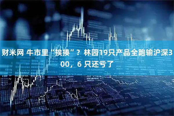 财米网 牛市里“挨揍”？林园19只产品全跑输沪深300，6 只还亏了