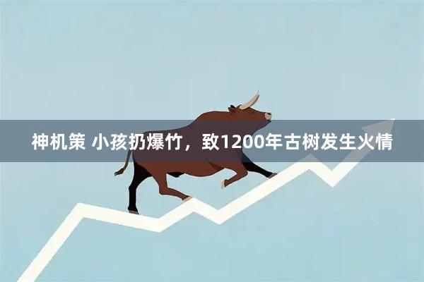 神机策 小孩扔爆竹，致1200年古树发生火情