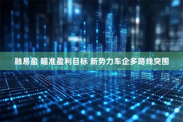 融易盈 瞄准盈利目标 新势力车企多路线突围